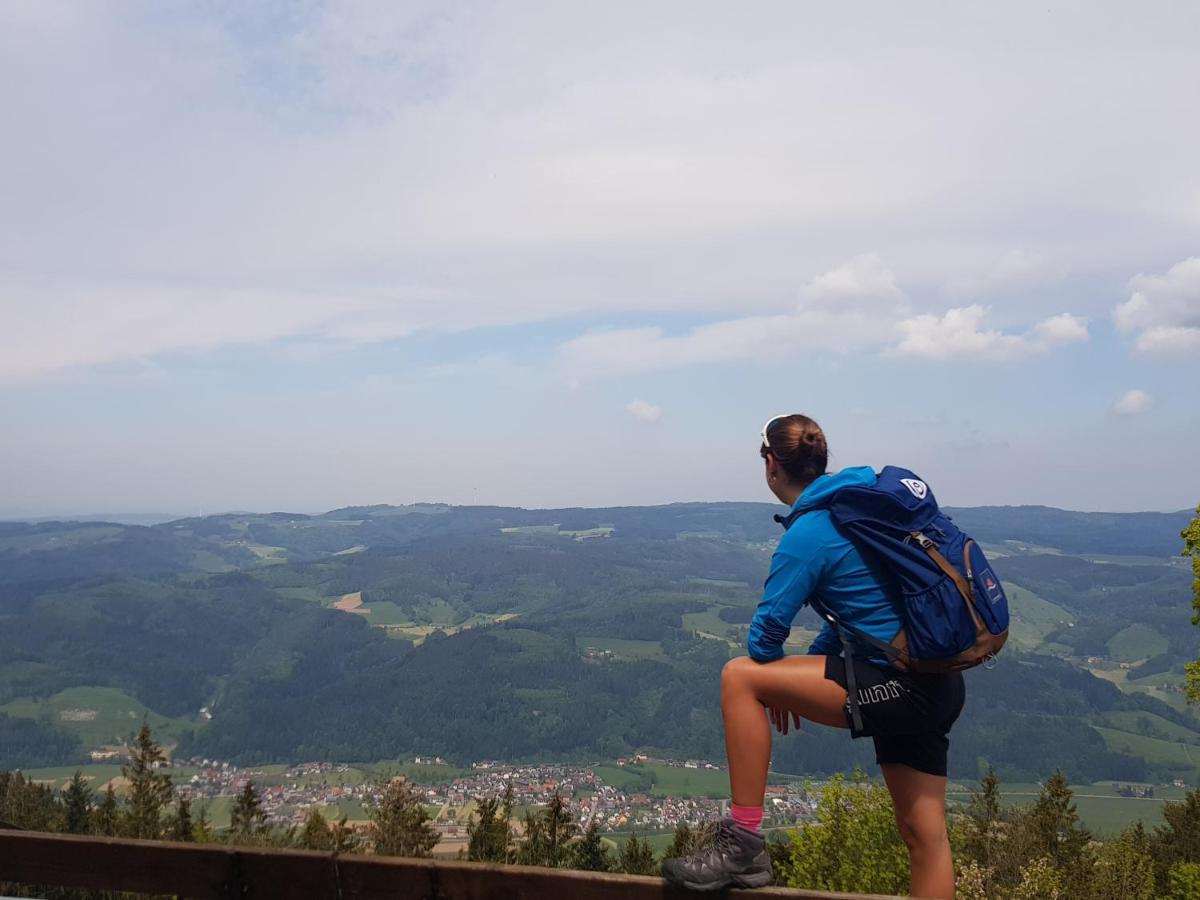 Elzland Hotel 9 Linden "Ferienwohnung" Elzach Zewnętrze zdjęcie