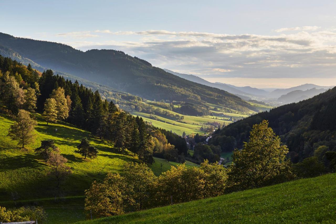 Elzland Hotel 9 Linden "Ferienwohnung" Elzach Zewnętrze zdjęcie